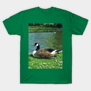 Canada Goose Resting Warminster T-Shirt